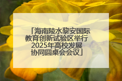 海南陵水黎安国际教育创新试验区举行2025年高校发展协同圆桌会会议