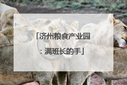 济州粮食产业园：满班长的手