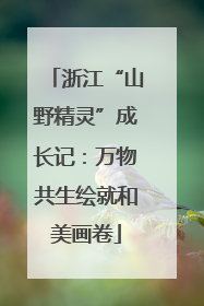 浙江“山野精灵”成长记：万物共生绘就和美画卷