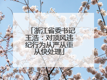 浙江省委书记王浩：对顶风违纪行为从严从重从快处理