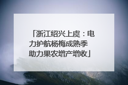 浙江绍兴上虞：电力护航杨梅成熟季 助力果农增产增收