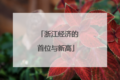 浙江经济的首位与新高