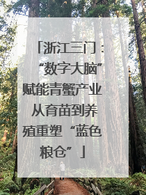 浙江三门：“数字大脑”赋能青蟹产业 从育苗到养殖重塑“蓝色粮仓”