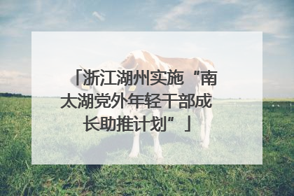 浙江湖州实施“南太湖党外年轻干部成长助推计划”