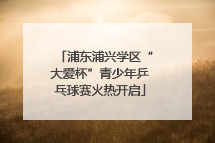 浦东浦兴学区“大爱杯”青少年乒乓球赛火热开启