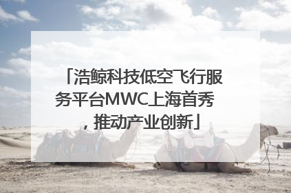 浩鲸科技低空飞行服务平台MWC上海首秀，推动产业创新