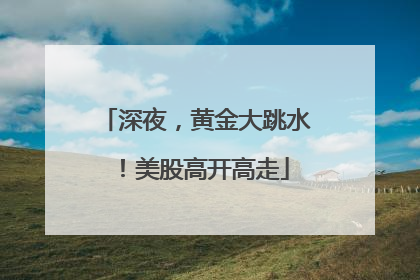 深夜，黄金大跳水！美股高开高走