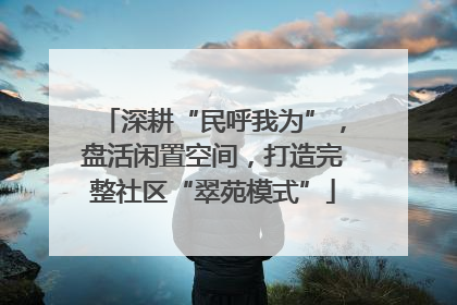 深耕“民呼我为”，盘活闲置空间，打造完整社区“翠苑模式”