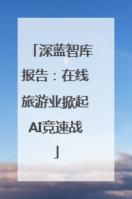 深蓝智库报告：在线旅游业掀起AI竞速战