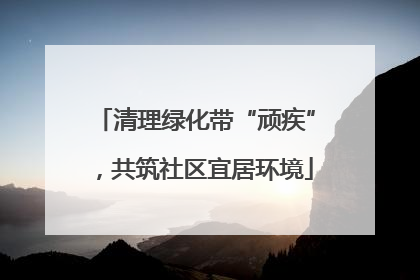 清理绿化带“顽疾”，共筑社区宜居环境