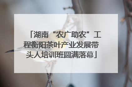 湖南“农广助农”工程衡阳茶叶产业发展带头人培训班圆满落幕