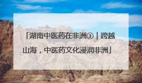湖南中医药在非洲③｜跨越山海，中医药文化浸润非洲