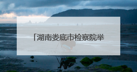 湖南娄底市检察院举办“携手关爱 共护未来”检察开放日活动