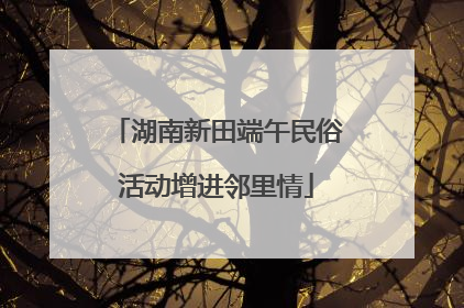 湖南新田端午民俗活动增进邻里情