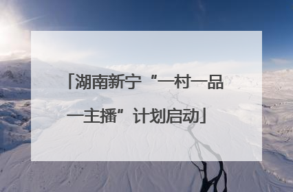 湖南新宁“一村一品一主播”计划启动