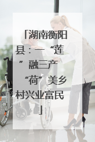 湖南衡阳县：一“莲”融三产 “荷”美乡村兴业富民