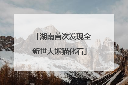 湖南首次发现全新世大熊猫化石