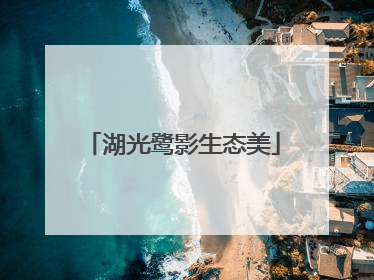 湖光鹭影生态美