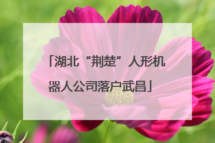 湖北“荆楚”人形机器人公司落户武昌