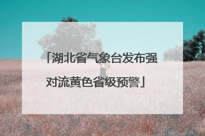 湖北省气象台发布强对流黄色省级预警