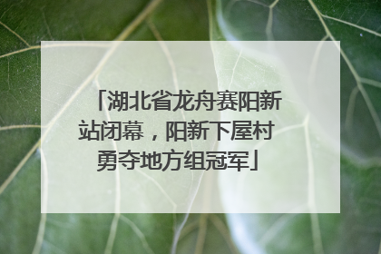 湖北省龙舟赛阳新站闭幕，阳新下屋村勇夺地方组冠军