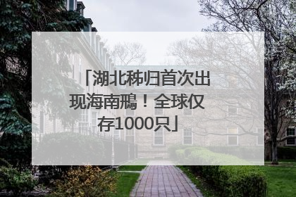 湖北秭归首次出现海南鳽！全球仅存1000只