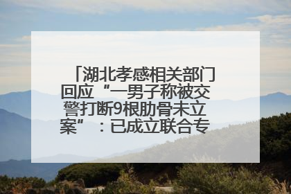 湖北孝感相关部门回应“一男子称被交警打断9根肋骨未立案”：已成立联合专班开展工作