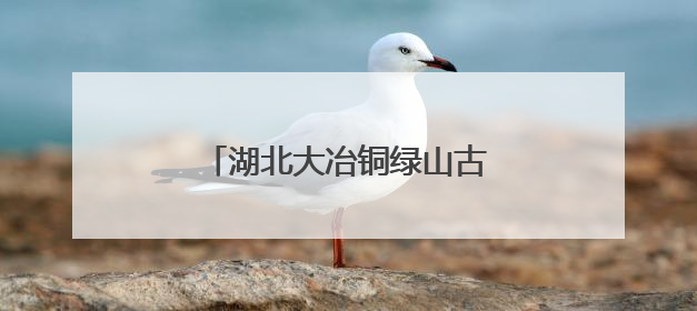 湖北大冶铜绿山古铜矿遗址博物馆：铜草花下的青铜传奇