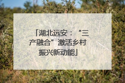 湖北远安：“三产融合”激活乡村振兴新动能