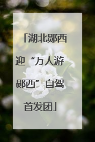 湖北郧西迎“万人游郧西”自驾首发团