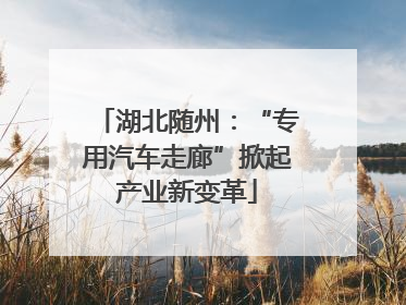 湖北随州：“专用汽车走廊”掀起产业新变革