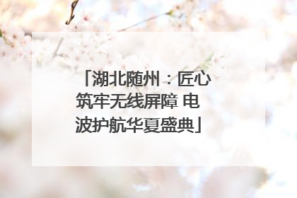 湖北随州：匠心筑牢无线屏障 电波护航华夏盛典