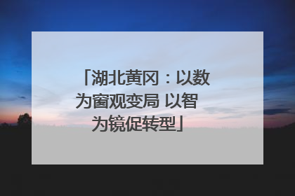 湖北黄冈：以数为窗观变局 以智为镜促转型