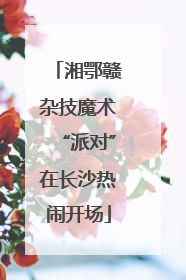 湘鄂赣杂技魔术“派对”在长沙热闹开场