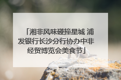 湘非风味碰撞星城 浦发银行长沙分行协办中非经贸博览会美食节