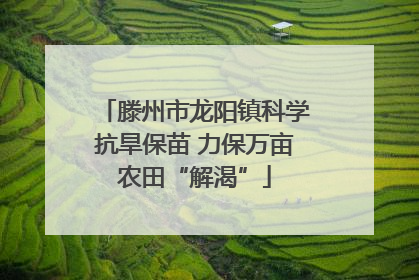 滕州市龙阳镇科学抗旱保苗 力保万亩农田“解渴”