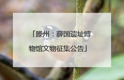 滕州：薛国遗址博物馆文物征集公告