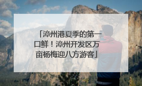 漳州港夏季的第一口鲜！漳州开发区万亩杨梅迎八方游客