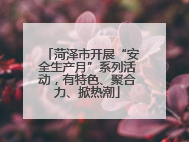 菏泽市开展“安全生产月”系列活动，有特色、聚合力、掀热潮