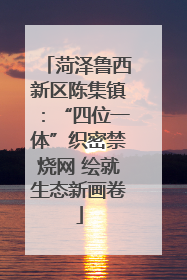 菏泽鲁西新区陈集镇：“四位一体”织密禁烧网 绘就生态新画卷