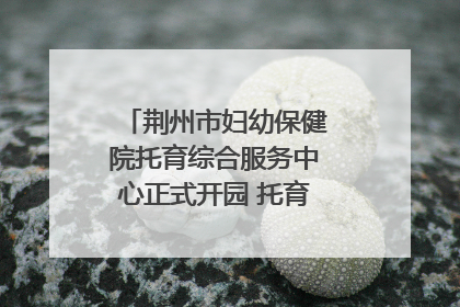 荆州市妇幼保健院托育综合服务中心正式开园 托育宣传月同步启动