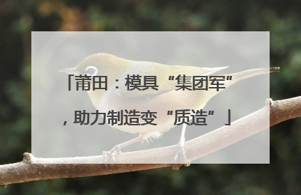 莆田：模具“集团军”，助力制造变“质造”