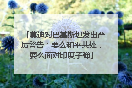 莫迪对巴基斯坦发出严厉警告：要么和平共处，要么面对印度子弹