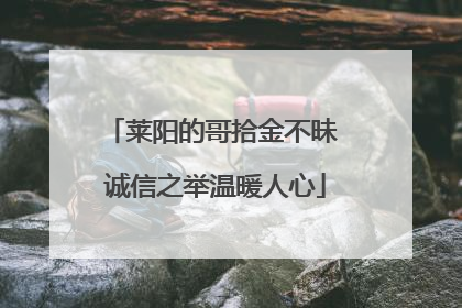 莱阳的哥拾金不昧 诚信之举温暖人心
