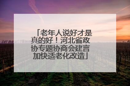 老年人说好才是真的好！河北省政协专题协商会建言加快适老化改造