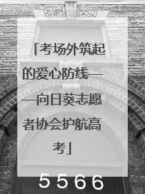 考场外筑起的爱心防线——向日葵志愿者协会护航高考