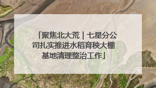 聚焦北大荒｜七星分公司扎实推进水稻育秧大棚基地清理整治工作