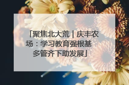 聚焦北大荒｜庆丰农场：学习教育强根基 多管齐下助发展