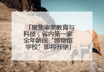 聚焦审美教育与科技，省内第一家全年龄段“博物馆学校”即将开学
