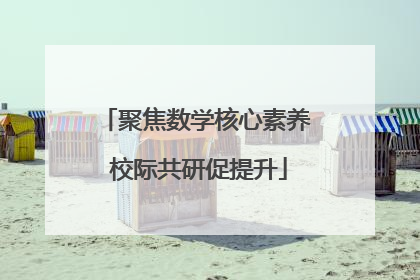 聚焦数学核心素养 校际共研促提升